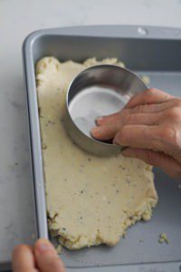 Doodh Peda4